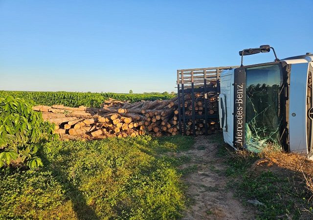 Caminhoneiros denunciam perseguição e apreensões ilegais de madeira em Alcobaça