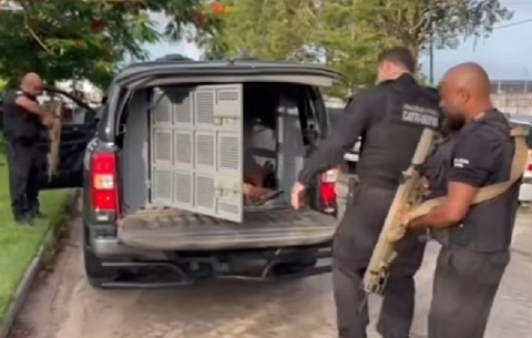 Operação da Polícia Civil prende quatro em Porto Seguro