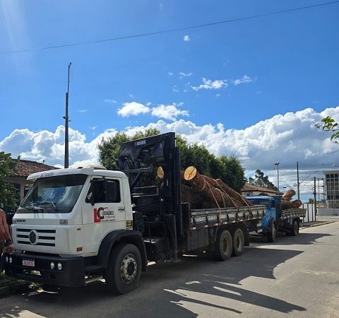 PMBA prende três homens suspeitos de furto de madeira; dois caminhões e dois motosserras foram apreendidos