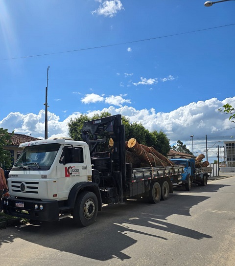 PMBA prende três homens suspeitos de furto de madeira; dois caminhões e dois motosserras foram apreendidos