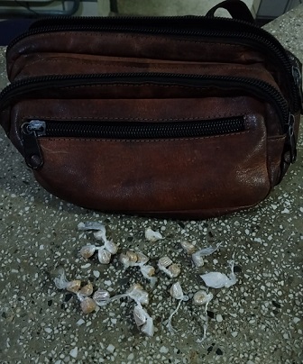 PMBA apreende drogas em Teixeira de Freitas
