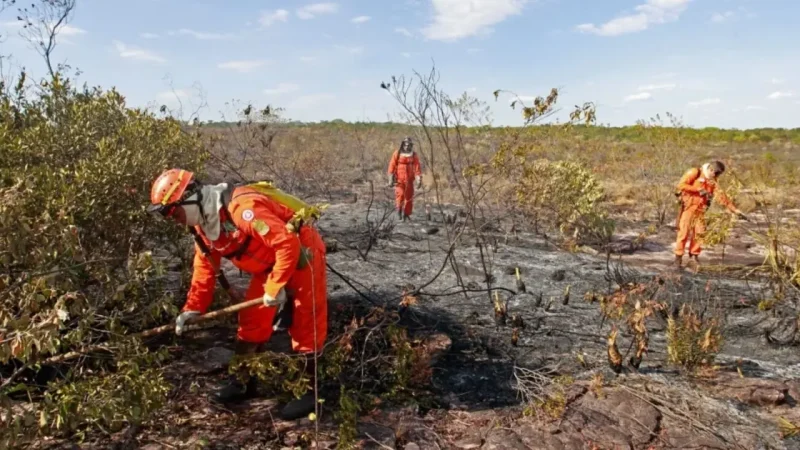 Bahia amplia alertas contra o El Niño em todo o estado e prevê calor extremo de até 41 ºC