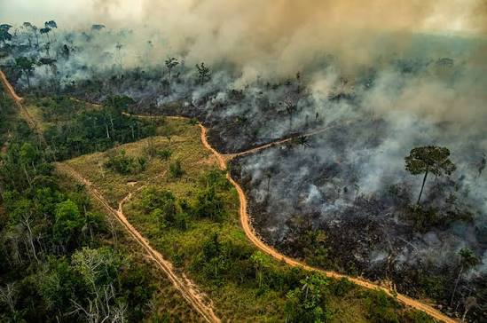 Tragédia ambiental: queimadas devastam vegetação, matam animais e ameaçam comunidades em Itanhém, Machacalis e aldeias da região