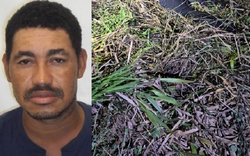 Colisão frontal deixa uma vítima fatal na BA-290, entre os municípios de Teixeira de Freitas e Medeiros Neto